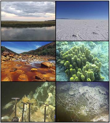 Editorial: Archaea in the Environment: Views on Archaeal Distribution, Activity, and Biogeography